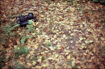 Scan-101209-001113_nEO_IMG