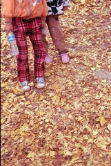 Scan-101209-001213_nEO_IMG