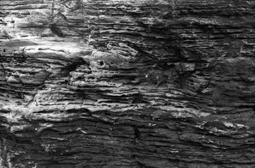 Scan-101205-001313_nEO_IMG