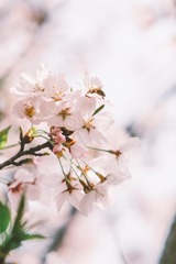 E90949D3-DF6B-46DE-B865-F0F45B2669EC/L0/001