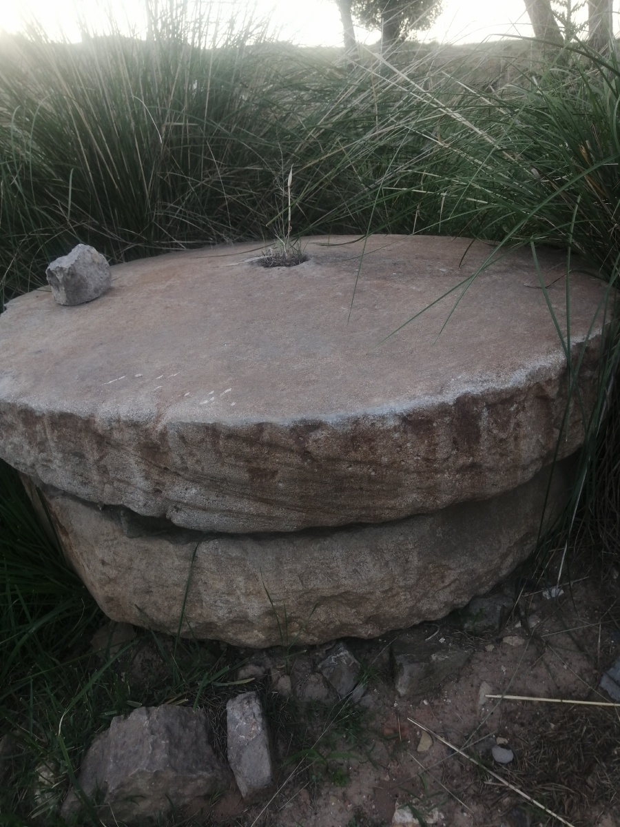 古老东西有谁见过