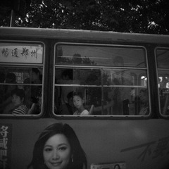 P1130041.jpg