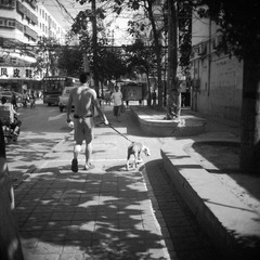 P1130072.jpg
