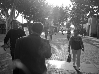 P1160769.jpg