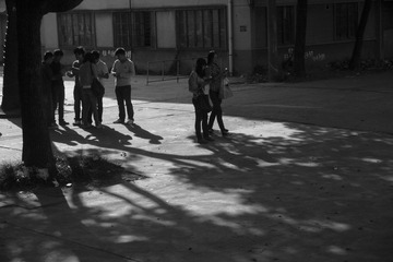 P1160591.jpg