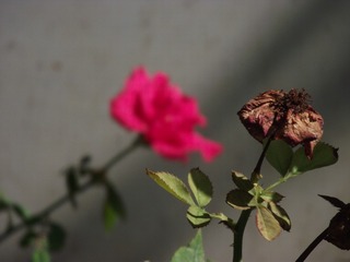 C0473AAE-98F5-4B3E-8E68-F6A4A2A9911B/L0/001