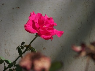 75F7C112-4B05-436C-847B-19E87AFD0AA0/L0/001