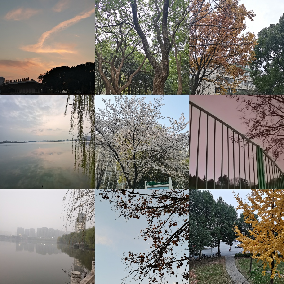 武汉中南民族大学南湖风光