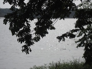 2630AE0A-A963-4BEF-8979-8B84B8B029CD/L0/001