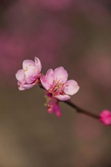 120302