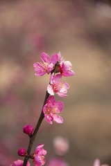 120304