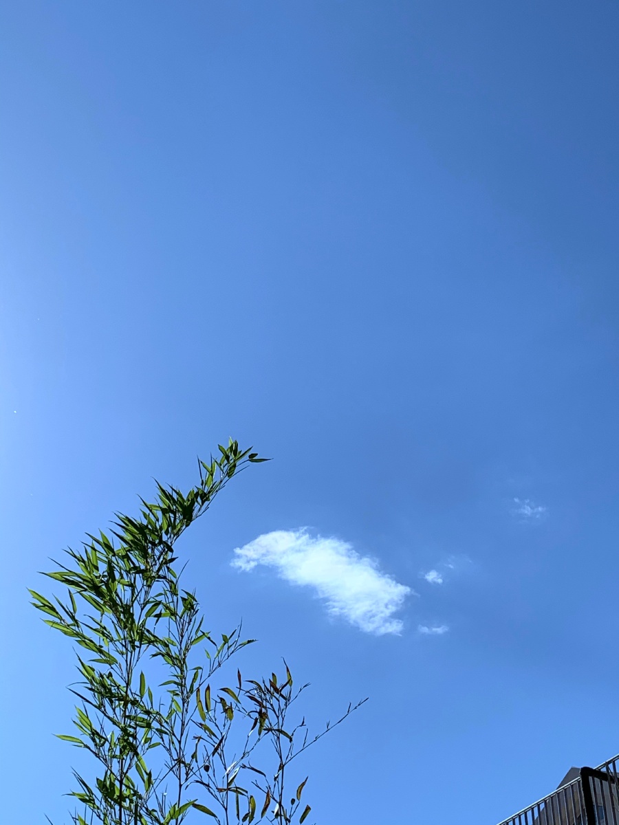 北京今天蓝天白云晴空万里