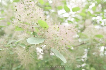 香山21.jpg