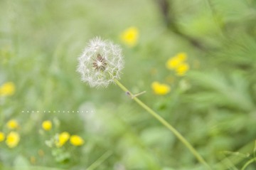 香山9.jpg