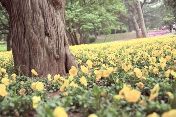香山11.jpg
