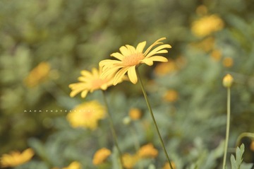 香山14.jpg