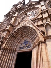 conew__1017717.jpg