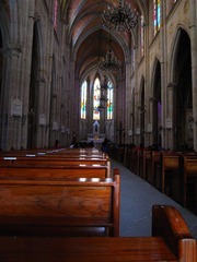 conew__1017718.jpg