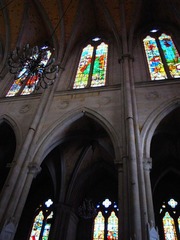 conew__1017727.jpg