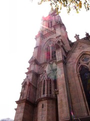 conew__1017745.jpg