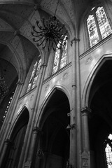 _1017912.JPG