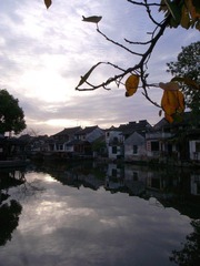 conew__1019033.jpg