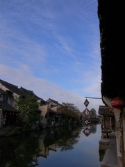 conew__1019045.jpg