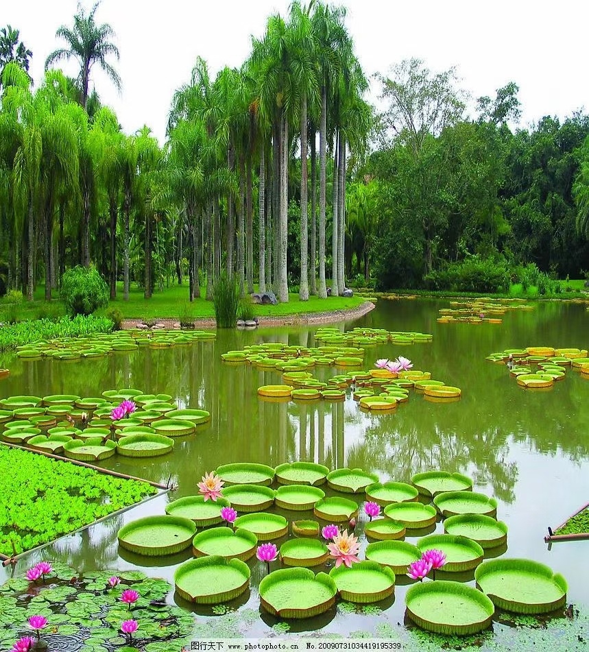 绿色夏天景色宜人