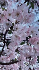 5109D693-6A72-466B-A127-2C6CF8FBD240/L0/001