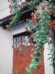 A0F7E743-04EE-4469-A025-85A818E855A2/L0/001