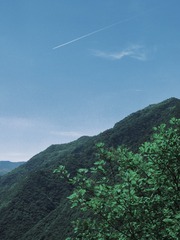 3C1062F0-F060-437D-85B7-E883ED281D0F/L0/001