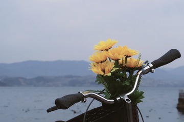 12231022-1DE0-4541-9AC3-5C6F8459DB99/L0/001