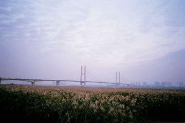 28130028.jpg