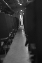 DSC_8378.JPG