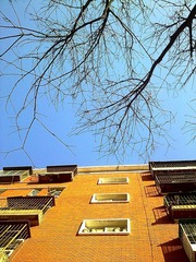 100220121100.jpg