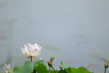 3DD40DA9-3CCB-495B-B95B-1AE5E7D0AC01/L0/001