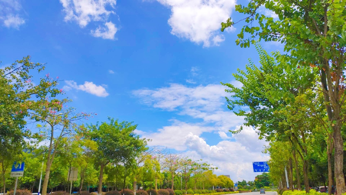 蓝天白云绿树治愈