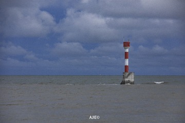 1479049