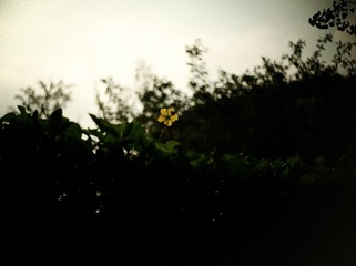 5A60E6D7-2708-46FB-9058-10254059B8A1/L0/001