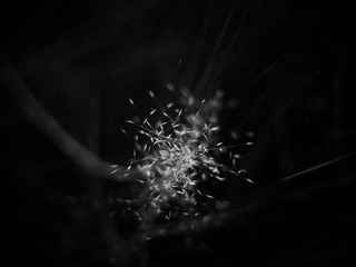 6658E292-4CAD-4B3D-A1C7-7443B30846F0/L0/001