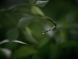 9404FE5B-F657-482D-B1C6-F8A6B8650046/L0/001