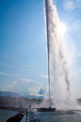 IMG_7533.jpg