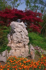 SDIM9434.jpg