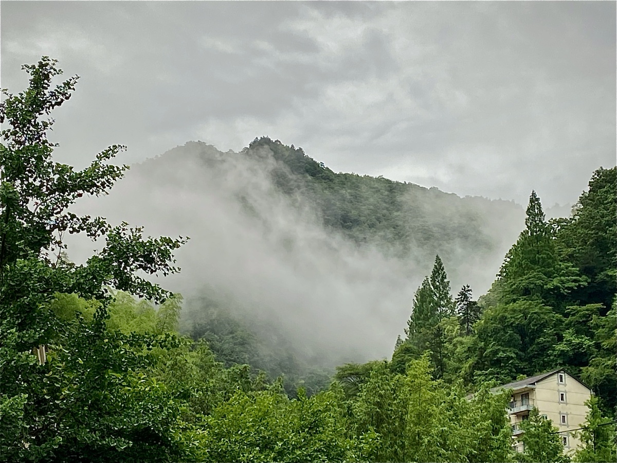 山新雨后