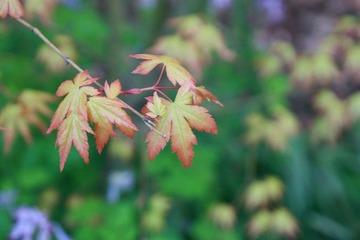 IMG_0785.jpg
