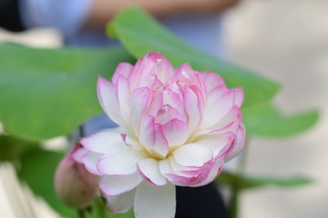 1680050