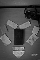 IMG_0318.jpg
