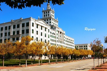 IMG_5217.jpg