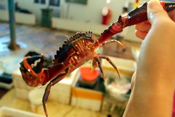 img_2995_副本.jpg