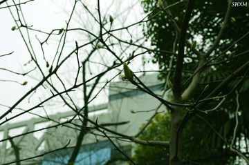 DSC_21209.jpg